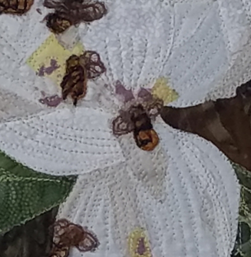 bees on magnolia for web